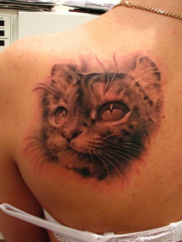 Фото, значение в магии татуировки " Кот. Кошка. Котенок. " - Страница 2 X_1995165a
